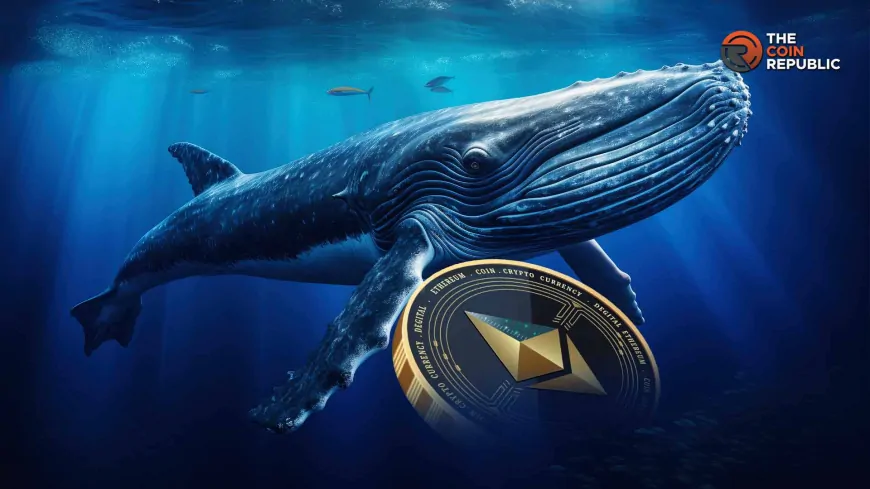 What's Next For Ethereum Price Amid ETH Whales Panic Selling?