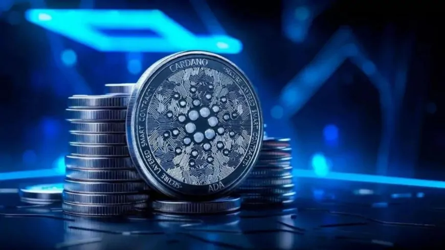 Cardano (ADA) faces price decline despite major whale accumulation 