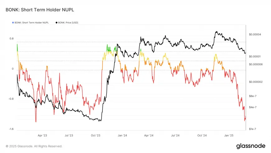 Potential for Bonk (BONK) Price Recovery Amid Continuing Downtrend Challenges