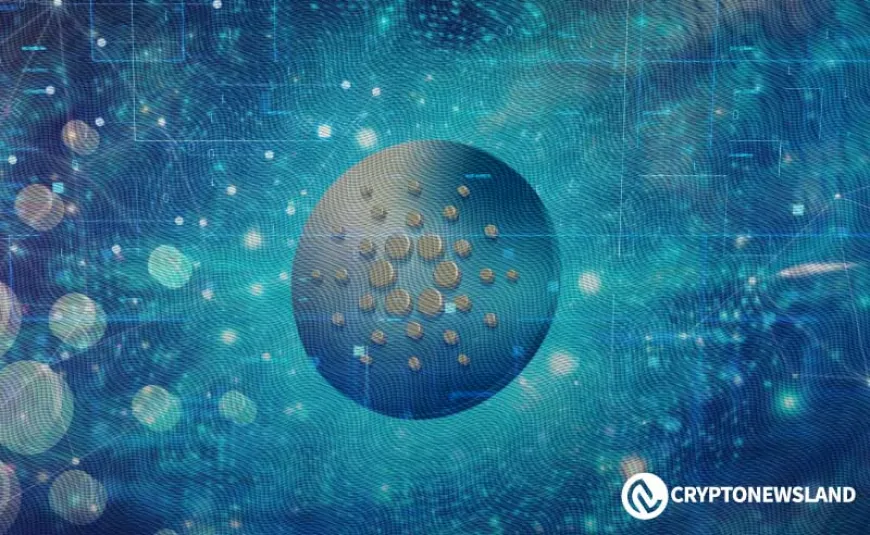 Cardano Whales Buy 130M ADA Amid Falling Prices – Bullish Signal or Red Flag?