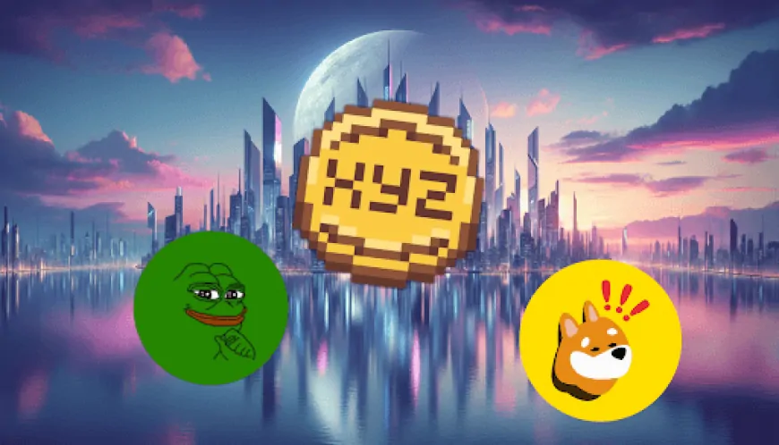 XYZ's $9M Raise Fuels Speculation on the Best Meme Crypto for Quick Profit as PEPE and BONK Make Key Moves