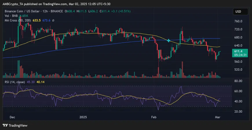 BNB's Stability Shines Amid Market Declines as Binance Dominates Stablecoin Holdings