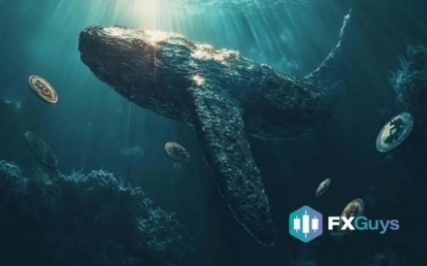 PEPE Whales Trigger FXGuys' Meteoric Rise—Is This the Next 100x?