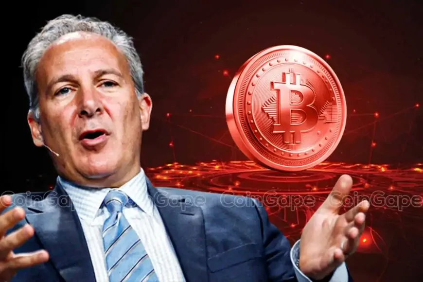 Peter Schiff Calls ‘Bitcoin Pumpers' Fraud Despite Recent Pro BTC Reserve Comments