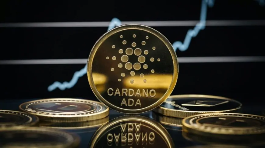 Why is Cardano (ADA) Pumping Right Now?