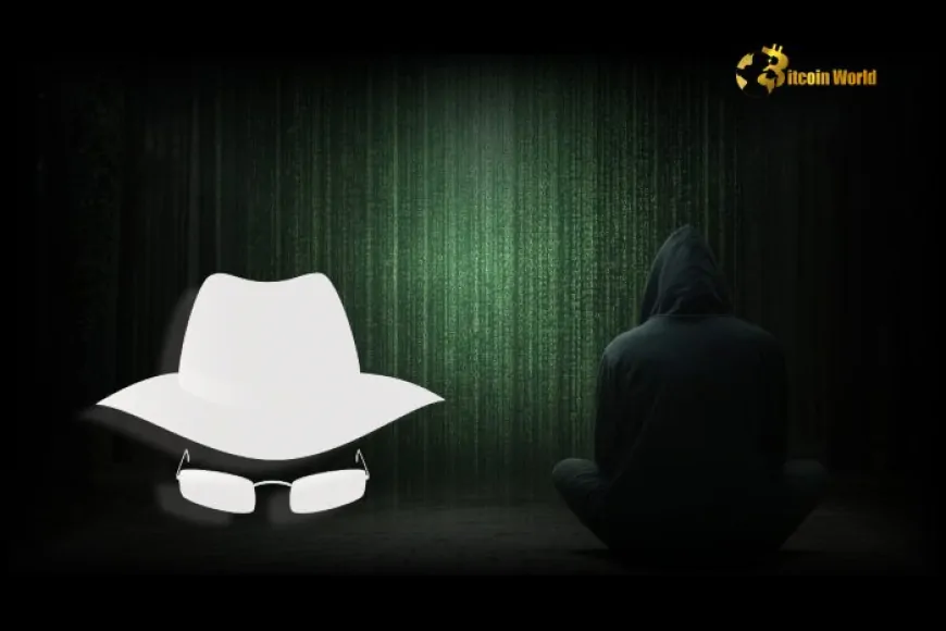 Intriguing White Hat Bounty: Infini Founder's Clever Move to Recover Stolen Crypto After DeFi Exploit