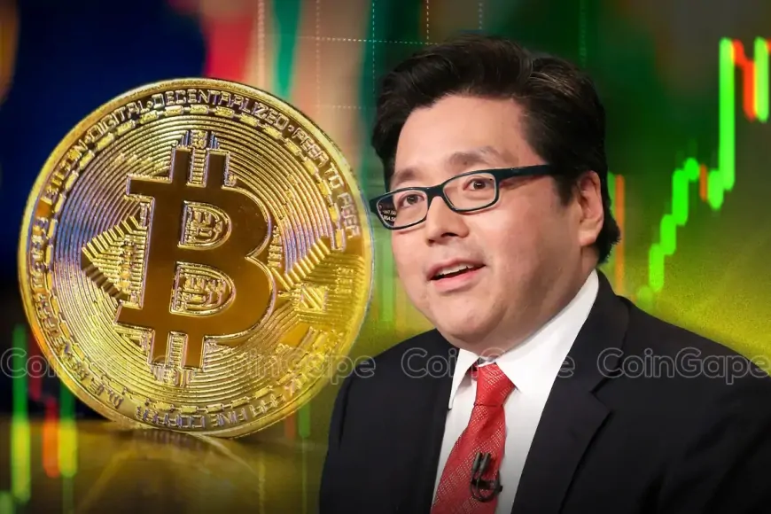 Fundstrat's Tom Lee Predicts Bitcoin Price Will Hit $150K In 2025