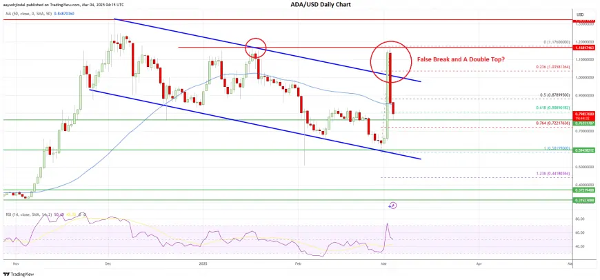 Cardano (ADA) Slips Back—Bulls on Edge as Gains Disappear