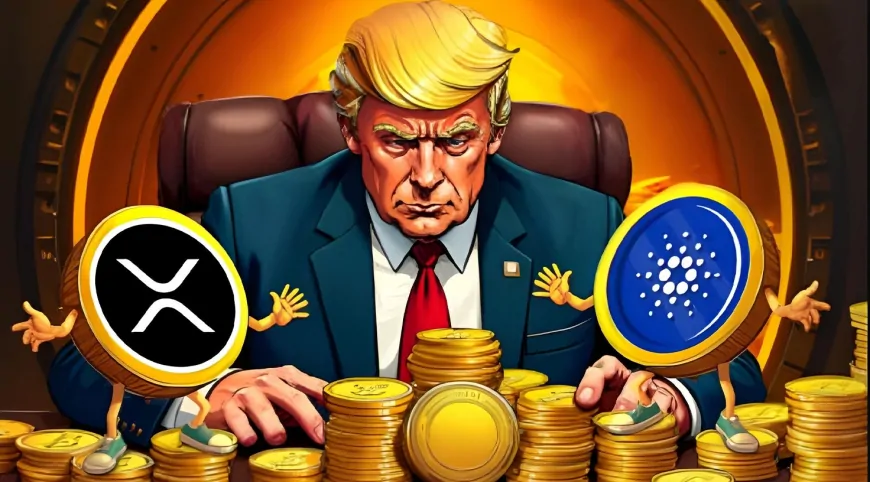 ZachXBT Questions ADA and XRP as Trump Backs Crypto