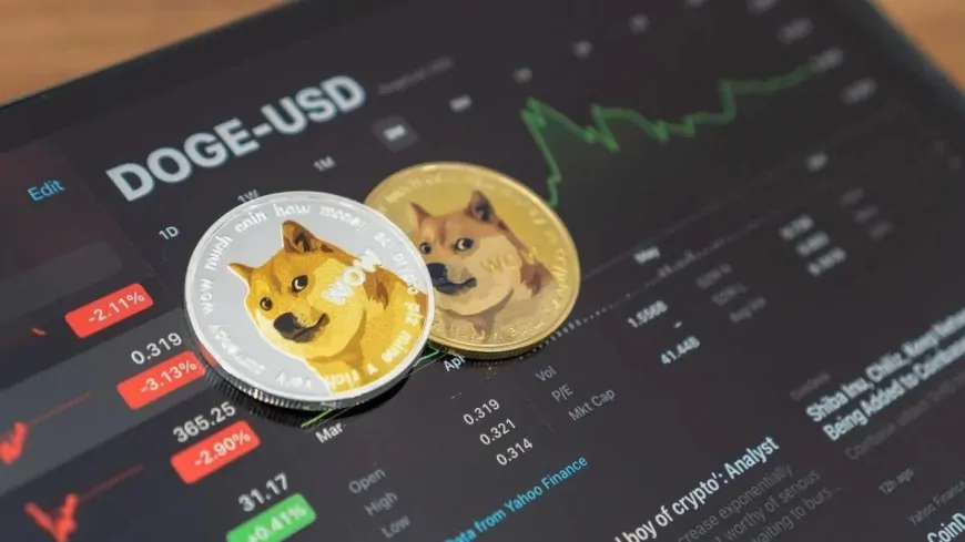 Dogecoin fell 11%- Will Doge decline or rebound further? 