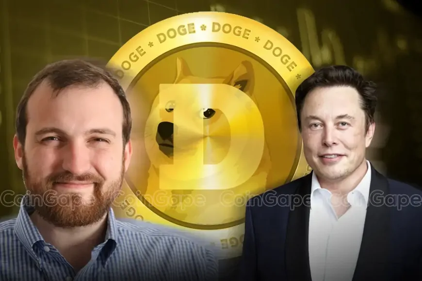 Can Dogecoin Price Quintuple as Cardano Founder Offers Elon Musk Help With DOGE Payments?