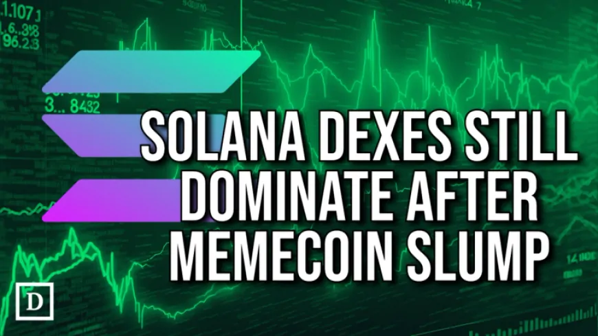 Solana DEXs Dominate Despite Memecoin Meltdown