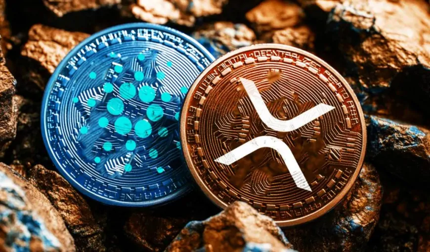 Crypto Whales Gobble Up $2,510,550,217 in XRP and Cardano (ADA) in Just a Day, According to Analyst