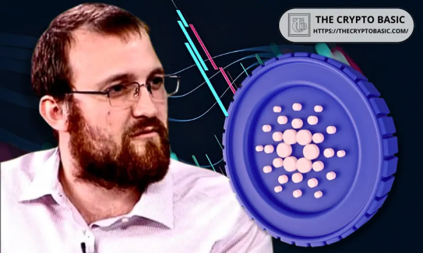 Cardano Founder Responds to Claims About His Nationality in ADA's U.S. Reserve Asset Debate