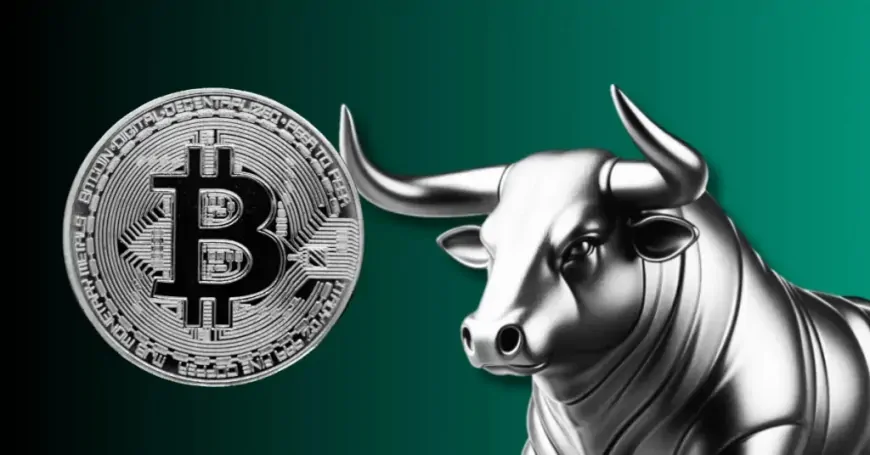 Bitcoin Bull Run Ahead? DXY Drop Signals 2017-Style Surge