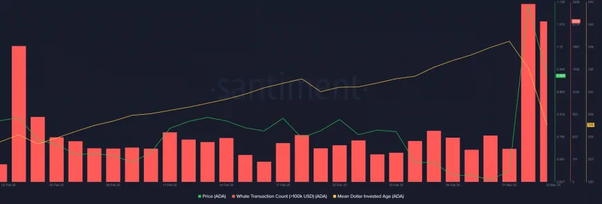 Cardano's Path to Sustaining Above $1: Insights into Market Dynamics and Recent Whale Activity