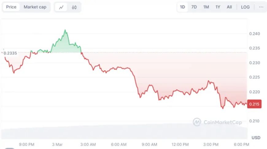 Why PEPE and DOGE Investors Are Rotating Into This 100x Platform With ETF Trading Features