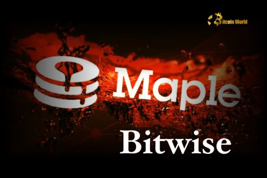 Revolutionary DeFi Lending: Bitwise & Maple Finance Unlock Onchain Access for Institutions