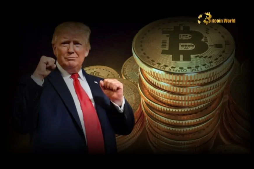 Bullish Bitcoin Reserve: Trump's Order Sparks Long-Term Crypto Market Hope