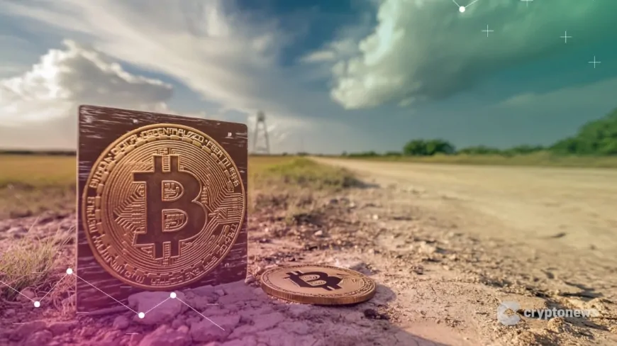 Texas Senate Advance Bill to Invest Public Funds in Bitcoin, New Hampshire, Utah Closely Follows