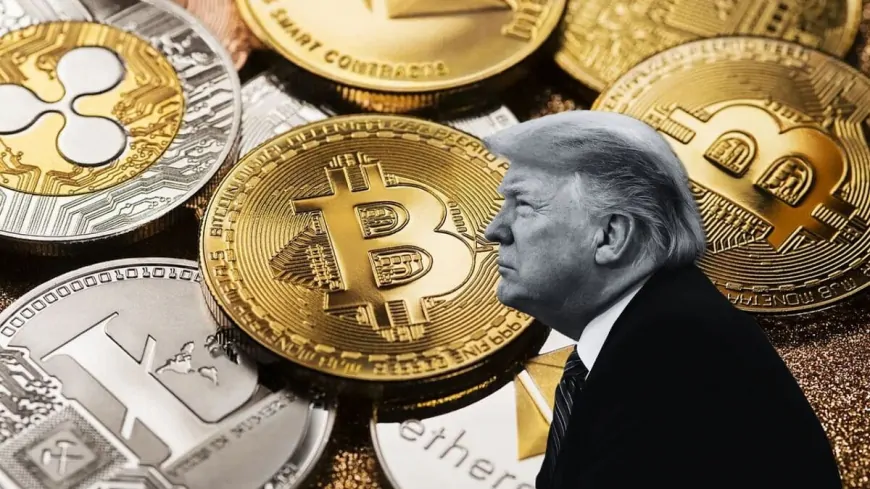 ADA, SOL, and XRP Prices Sink as White House Clarifies Trump's Crypto Reserve Statement