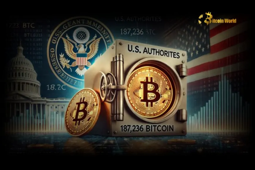 Unveiling Massive US Government Bitcoin Holdings: 187,236 BTC Revealed by Glassnode