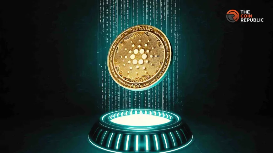 Cardano Price: Impact Of 78% Liquidation Imbalance