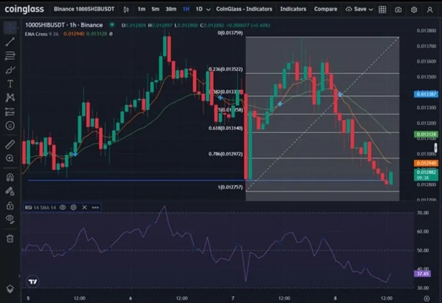 SHIB Shows Bullish Potential as Burn Rates Surge and Technical Indicators Align for Possible Price Recovery