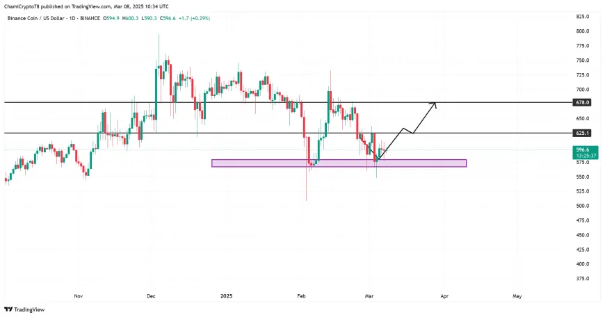 Potential BNB Rally Suggested by Whale Activity and Upcoming Pascal Upgrade