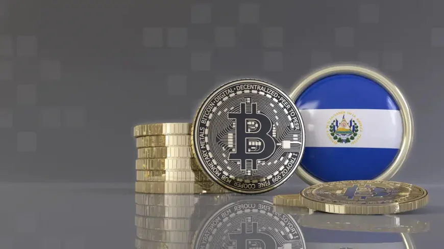 El Salvador Defies IMF and Continues Bitcoin Accumulation