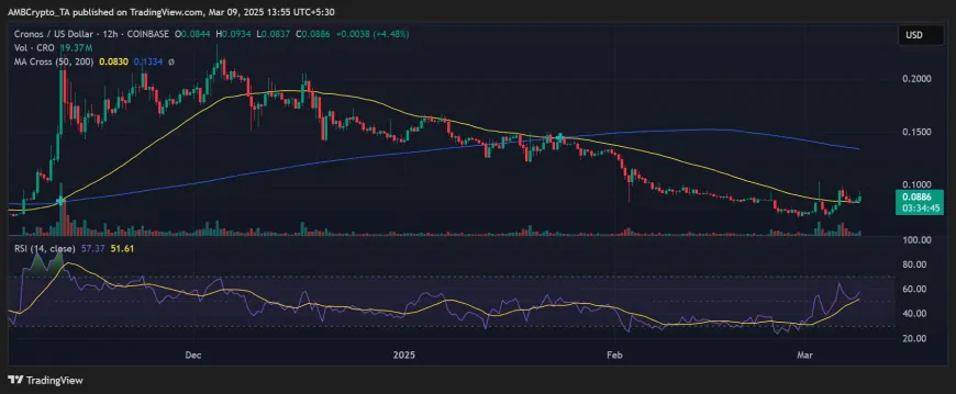 Cardano's Notable Week: Potential for Continued Gains Amid Cryptocurrency Market Volatility