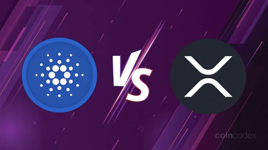 Cardano vs XRP: Which Crypto Is the Better Buy in 2025?