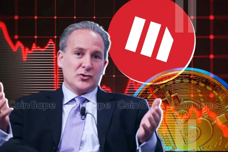 Peter Schiff Criticizes MicroStrategy's Bitcoin Strategy Amid BTC Price Crash