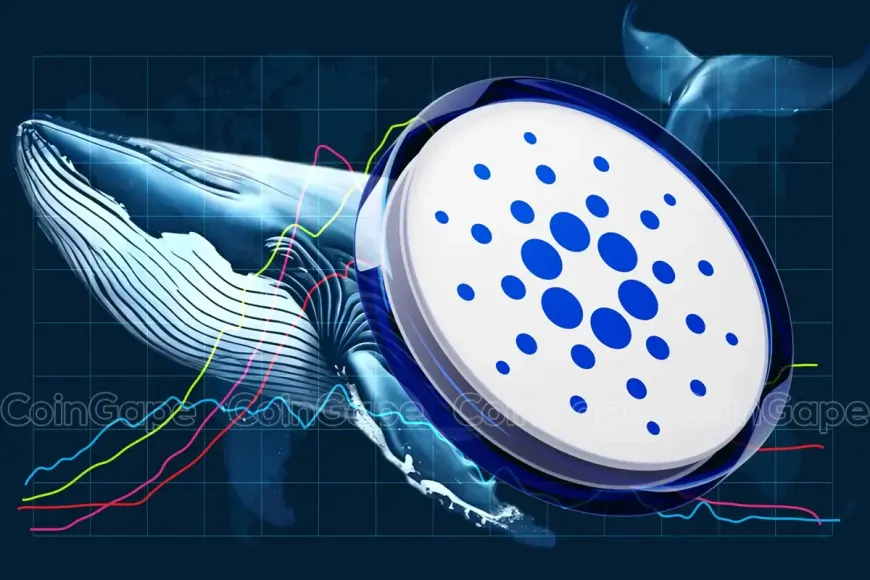 What's Next For Cardano Price As Whales Scoop 180M ADA In A Week