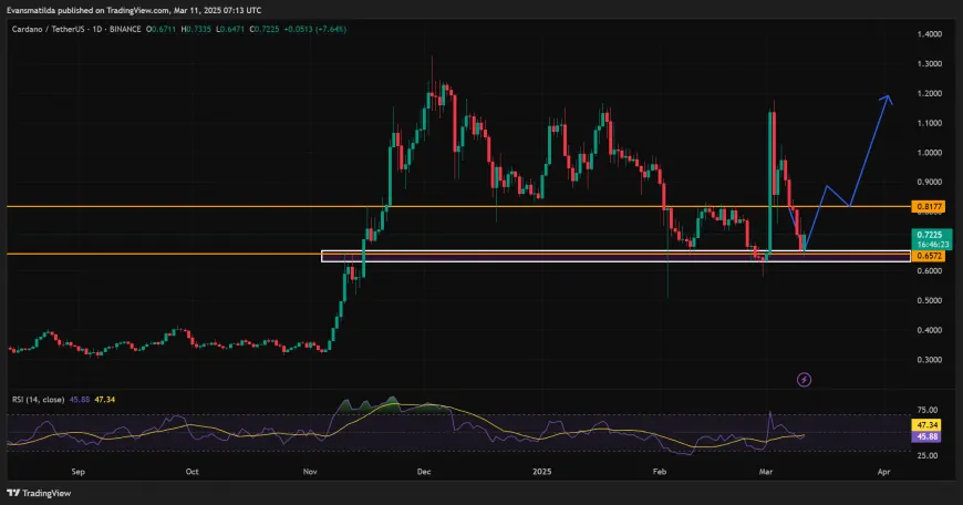 Whale Accumulation May Influence Cardano (ADA) Price, But Liquidation Levels and Market Sentiment Present Challenges