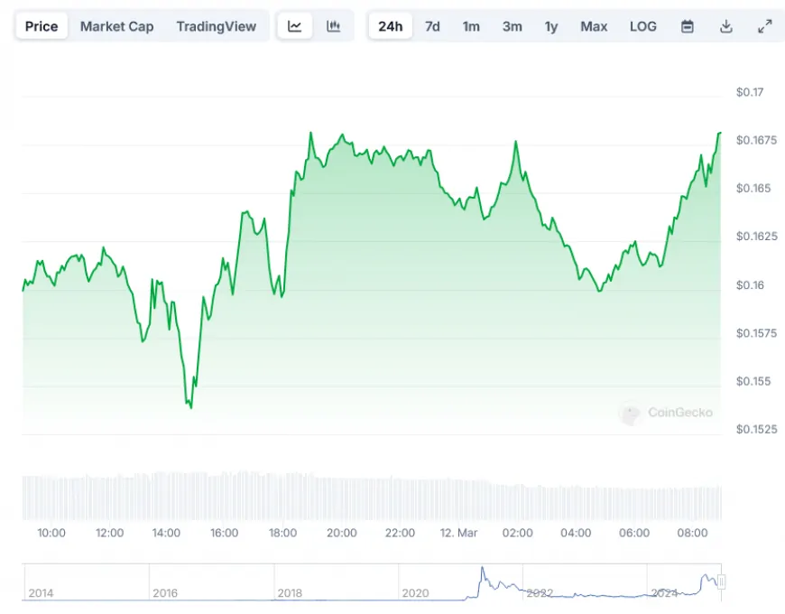 Dogecoin (DOGE) Price: Whales Are Buying the Dip – Should You Follow Their Lead?