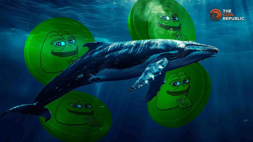 3 Whales Buy 689B PEPE Coin, Why Are Experts Concerned?