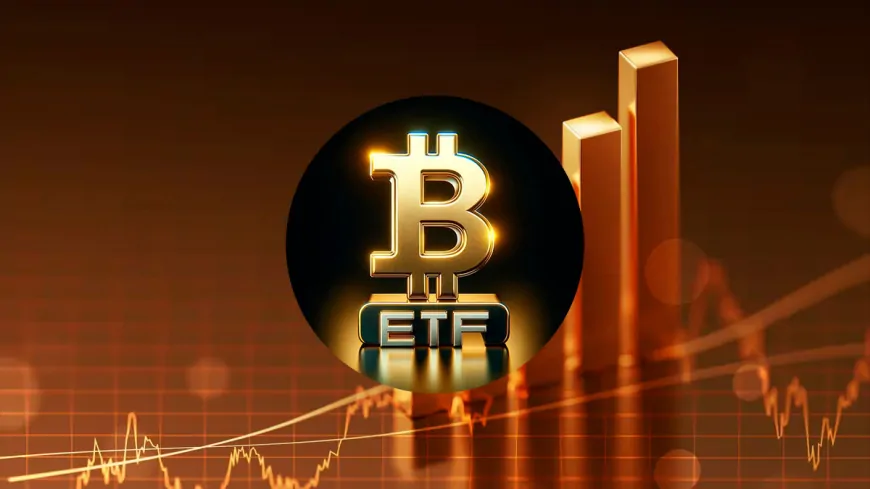 Bitcoin ETFs Bounce Back: $13M Inflow Sparks Renewed Investor Confidence