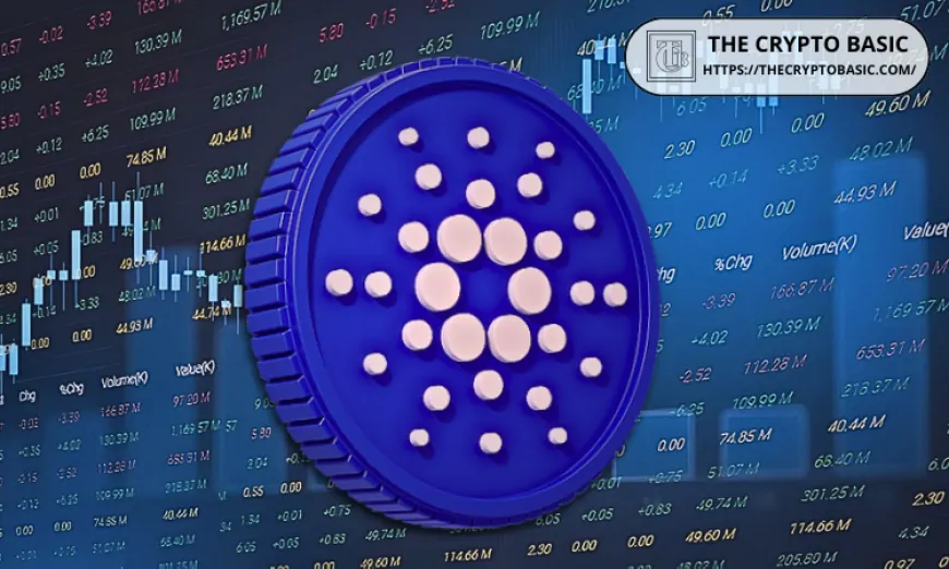 Cardano Foundation and Input Output Clash Again as Budget Debates Heat Up