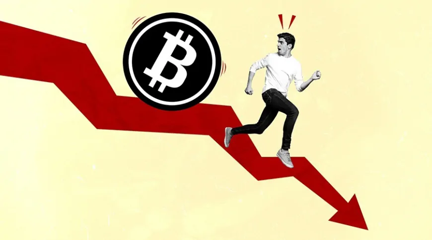 Bitcoin Price Is Dropping the Most Since 2022, but Finery Markets Reports Record $1.8B Volume