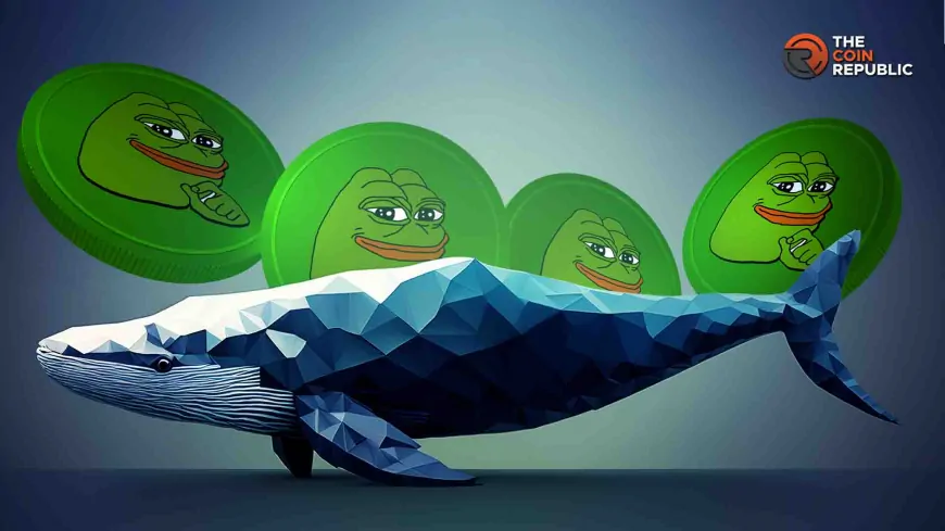 PEPE Coin Price: Is A Second Rally Brewing?