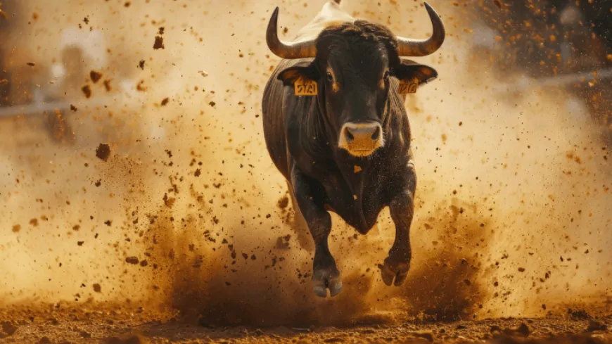 Bitcoin Bulls Roar: $43M in Short Positions Liquidated in 4 Hours