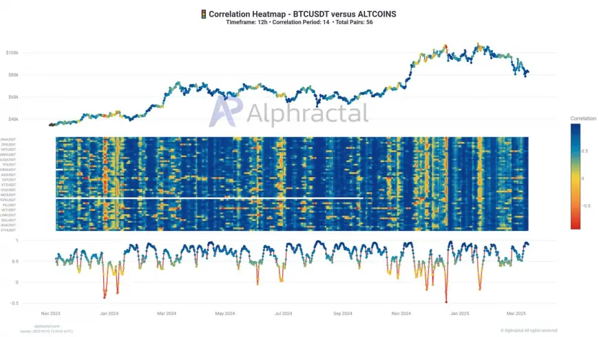 Potential Accumulation Signs for Altcoins Amid Bitcoin and Ethereum's Market Influence