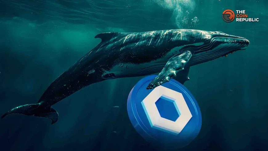 Will Chainlink Price Hold Strong Despite Whale's Massive Token Dump?