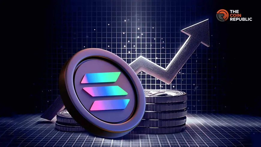 Can Solana Price Make a Recovery As On-chain Activity Soars?