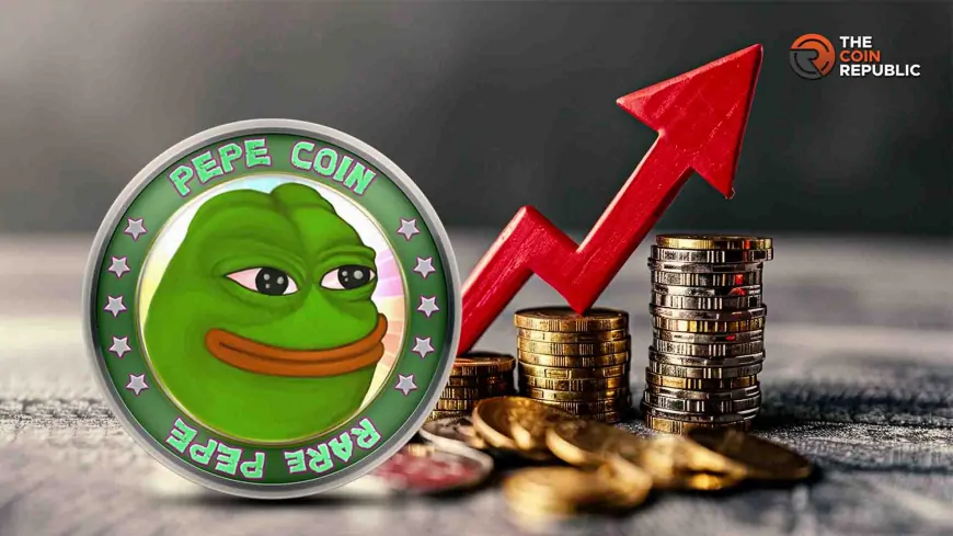 Pepe Coin Price Rebound, What To Expect