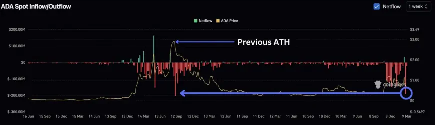 Cardano Sees Significant Exchange Withdrawals, Indicating Potential Upward Price Movement