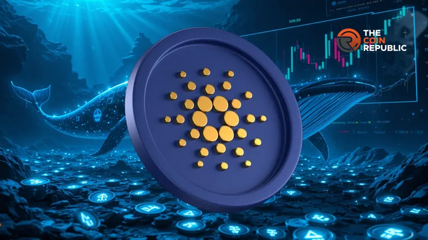 Cardano Whales Stack 130 Million ADA, Price Consolidation Deepens