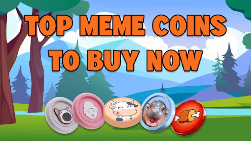 4 Top Meme Coin Picks: BTFD Coin Gets Recognized as the Best Crypto Presale to Buy With 3,650% ROI Potential While Dogecoin, PEPE, and Others Attract Bulls