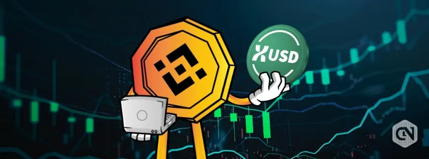 StraitsX USD ($XUSD) Surges Following Binance Listing Announcement!